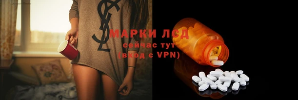 spice Заволжск