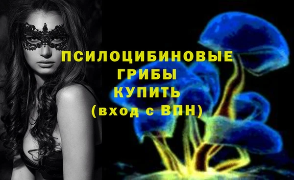 МДПВ Наволоки