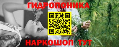 прущие грибы Донецк