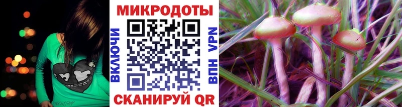 купить  цена  Саяногорск  Псилоцибиновые грибы Cubensis 