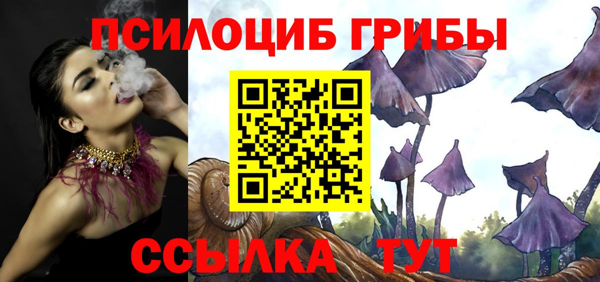Псилоцибиновые грибы Psilocybe  Вход с VPN  Саяногорск 